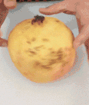 0 (12).gif 0 (12).gif