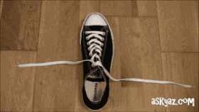 0 (17).gif 0 (17).gif