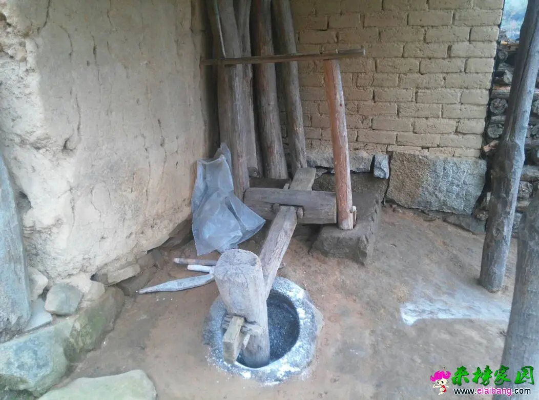 121449aov23vnenbne2zoo.webp