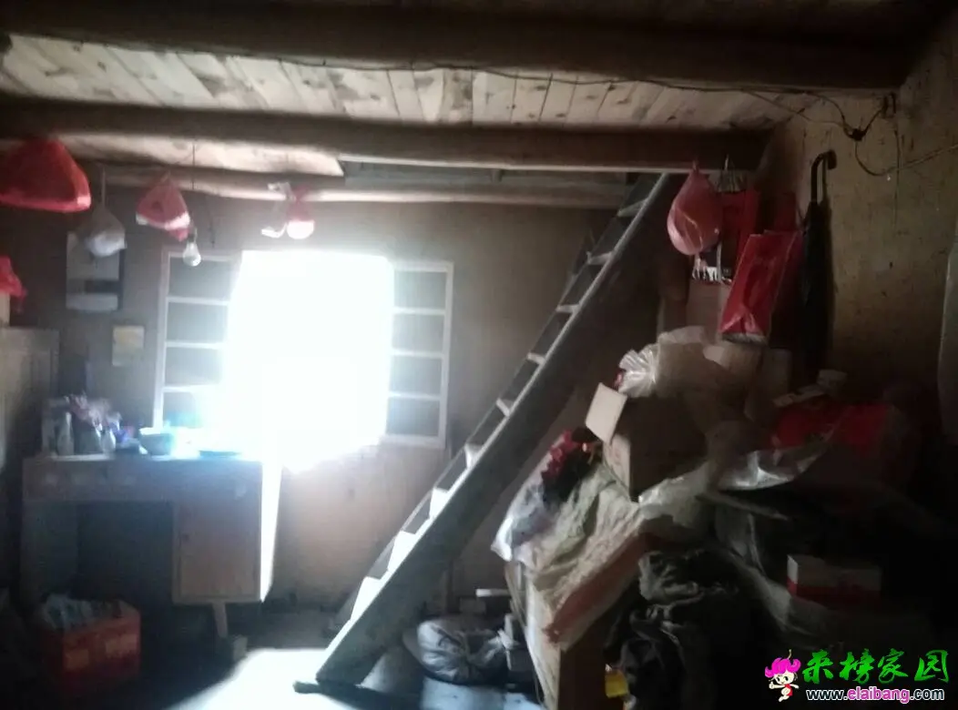 121938bl7k5hqk9qk75w73.webp