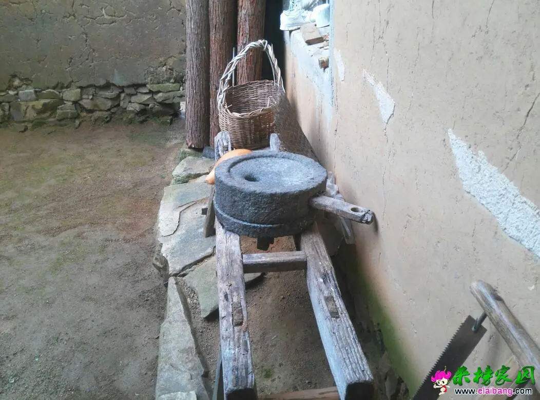 122026d1d17m7qxqekm9dm.webp