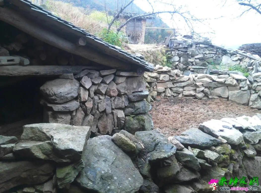 122915xbbkiwi5zzzipwbq.webp
