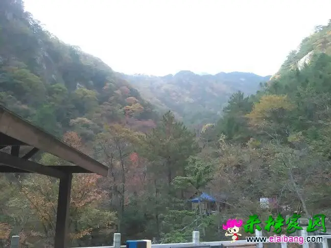 140557e6eng4a9f566b5ej.webp