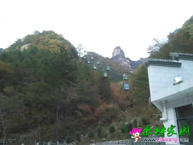 140557hwotc6wu9ycur0h7.webp