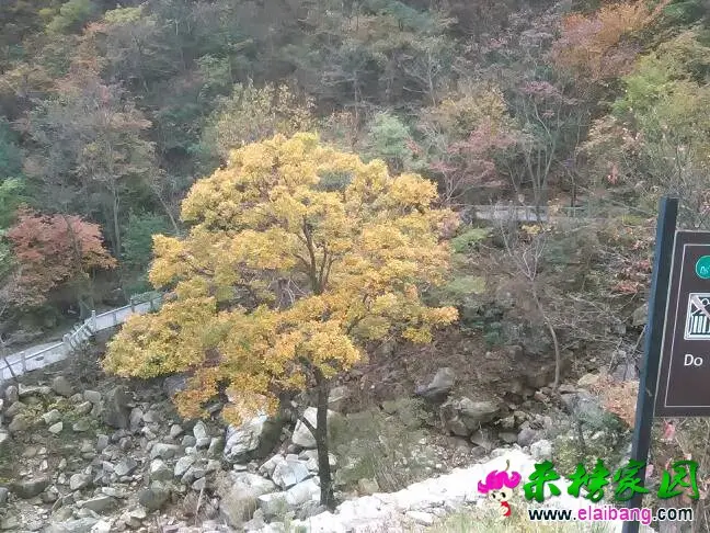 140557rueul1g9tnq9qj19.webp