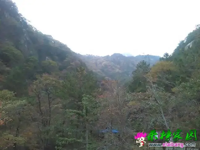 140558dtmf3mr5diswdjyt.webp