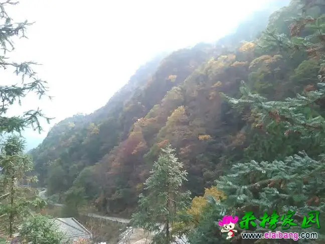 140558gai4bn3okwiok3ax.webp