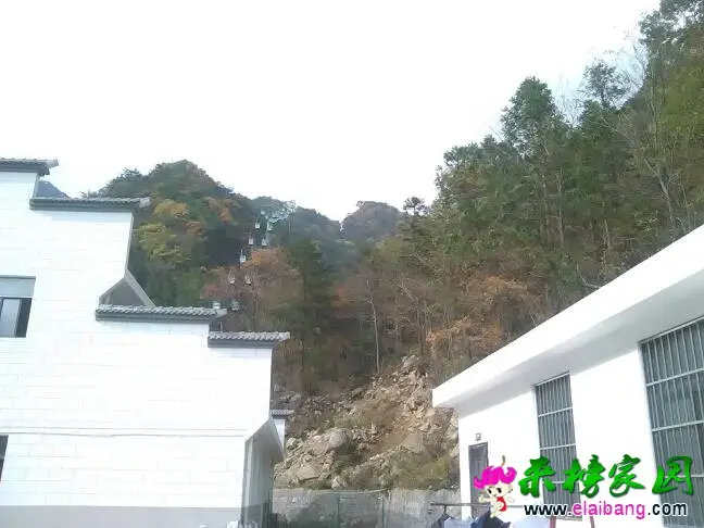140558nk9f0qvgff0fq4qq.webp