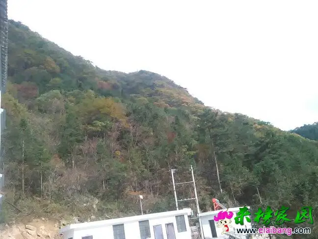 140558x3hddojrizokhdq3.webp