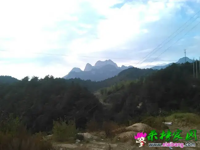 140706dl113ynl71l16ln8.webp