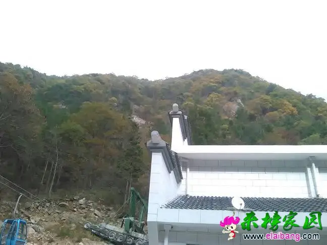140706lb8w9z1p9018jgxz.webp