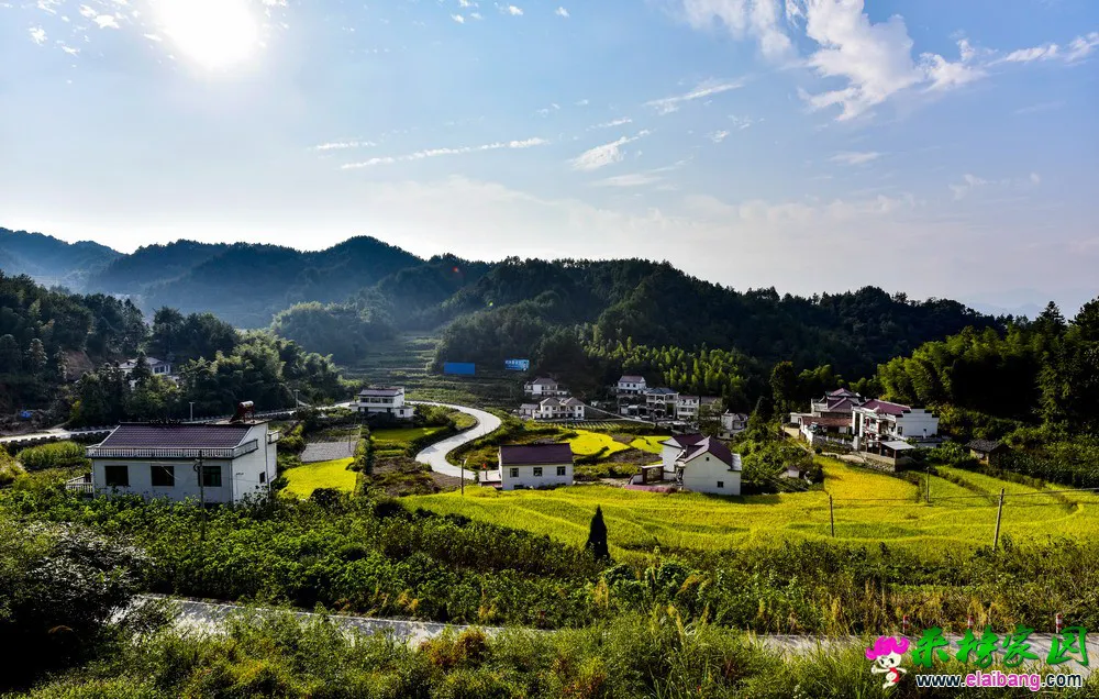 LJH_3629.webp