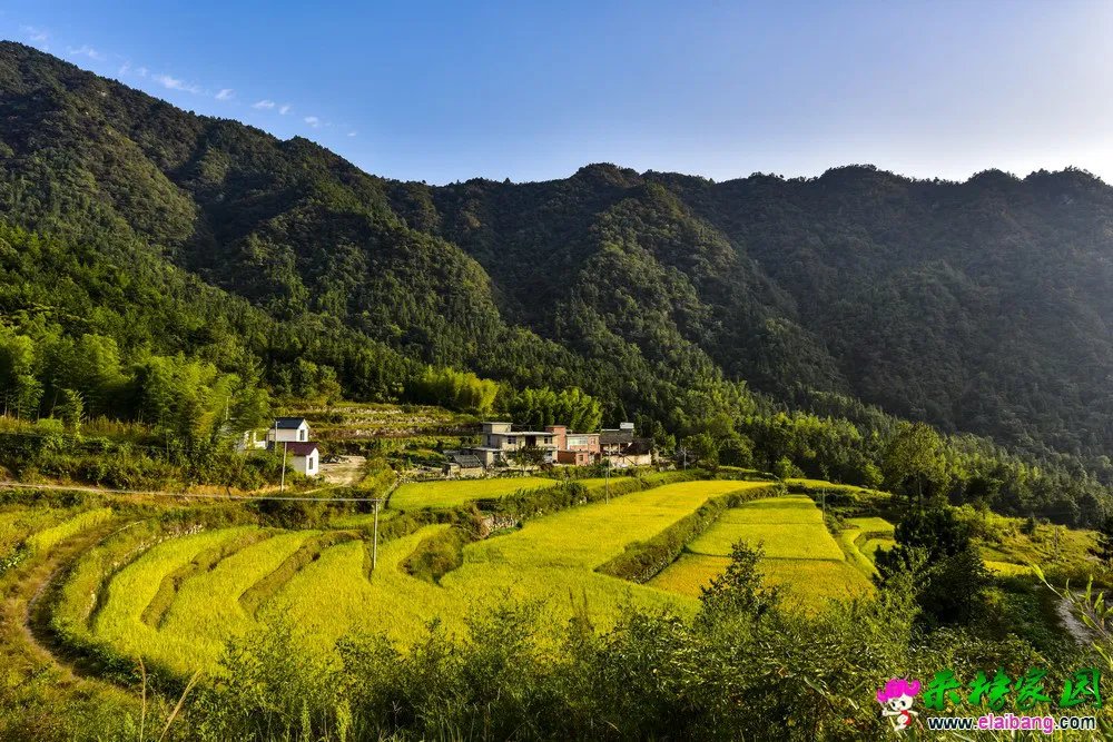 LJH_3645.webp