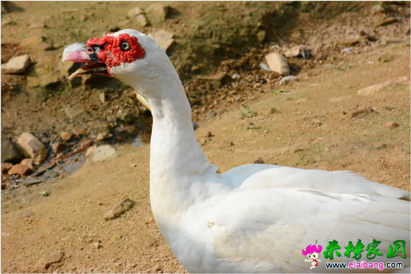 DSC_8024.webp