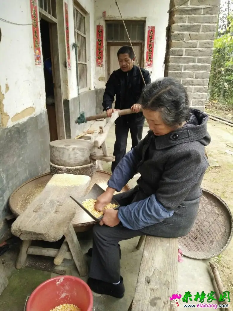 152117d2gkmktnd6nz4oqr.webp