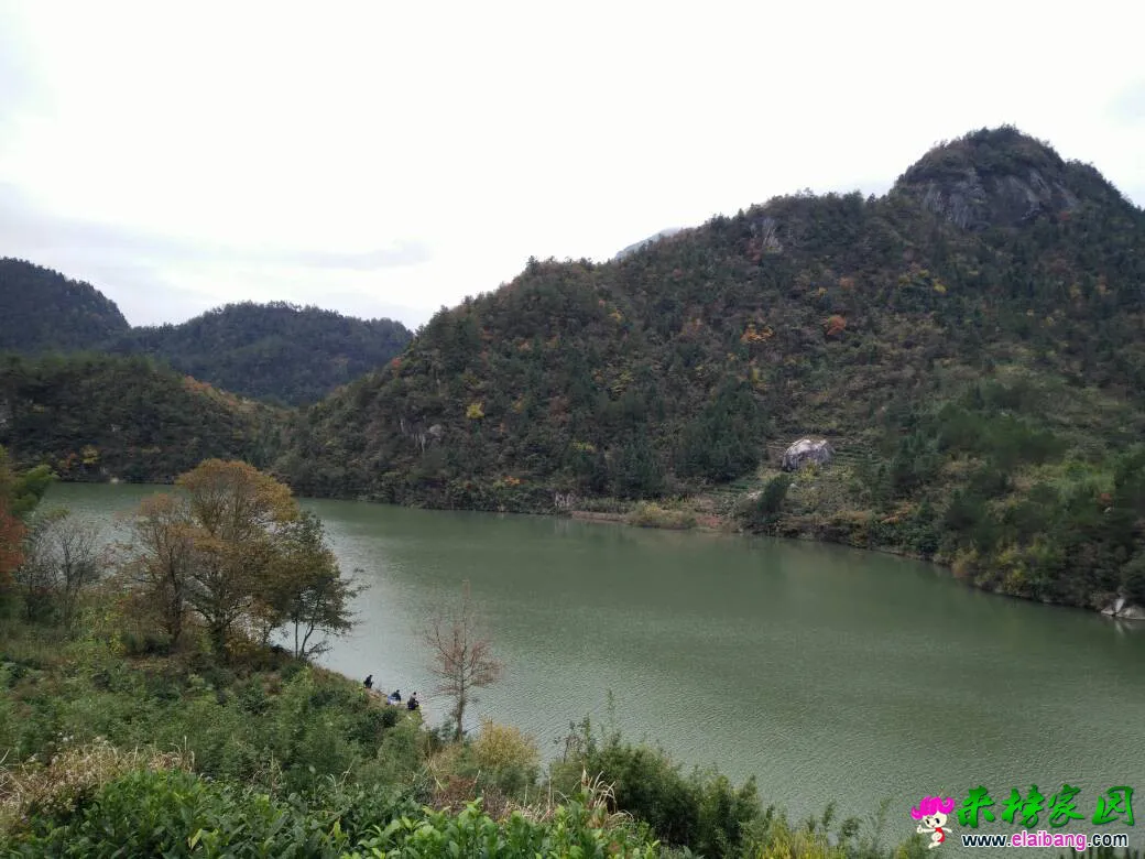 154517rs2r4b0dak6ib764.webp