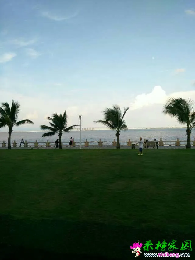 180753awdqwt6qku870auv.webp