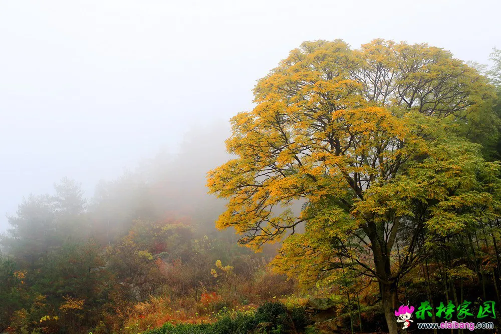 HD8A2209副本.webp