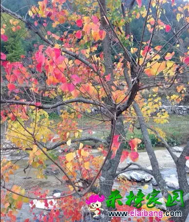 9@65HF31F0DY647EYRZMHYS.webp