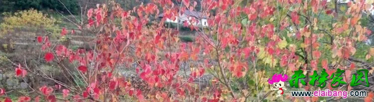 K2)V1XDJ$[KZUXB5DLIY382.webp