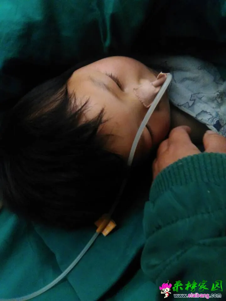 QQ图片20151112115419.webp