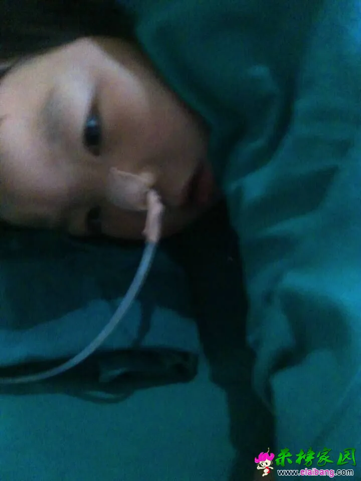 QQ图片20151112115426.webp