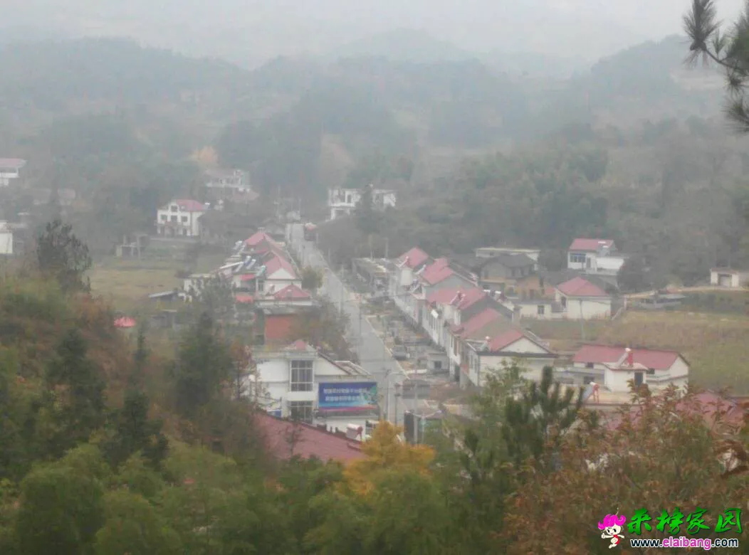 143242syudwyi9bkiukzx3.webp