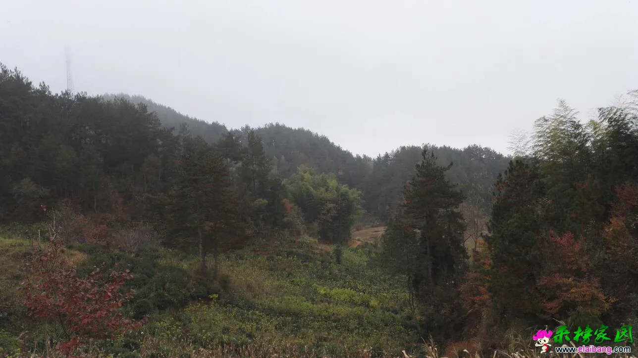 152807yvlzqr8bchllryhv.webp