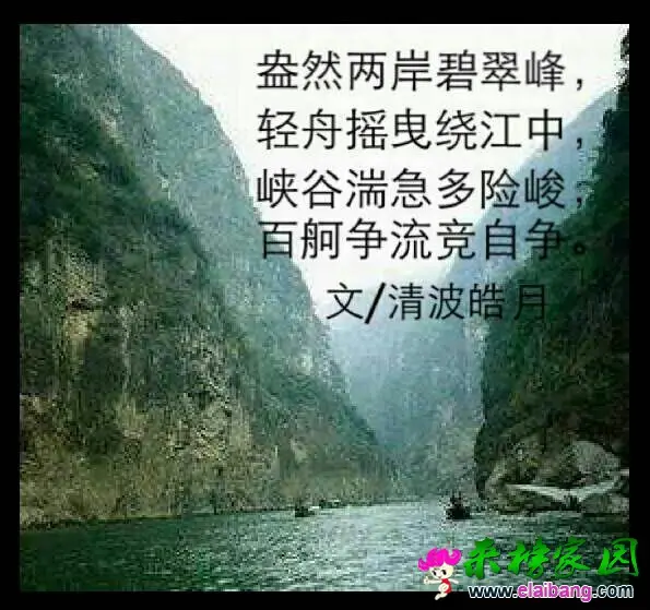 QQ图片20151118143143.webp