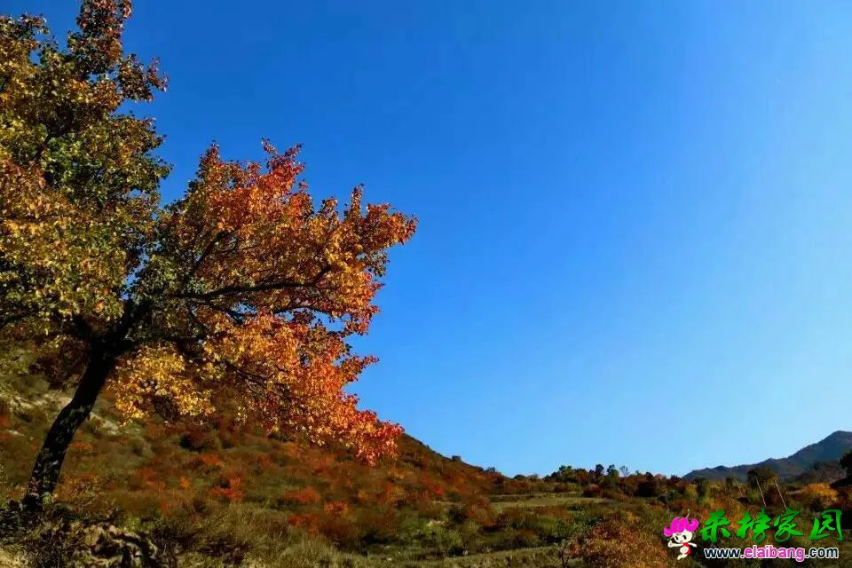 123400mthkks3l2tkrx97z.webp