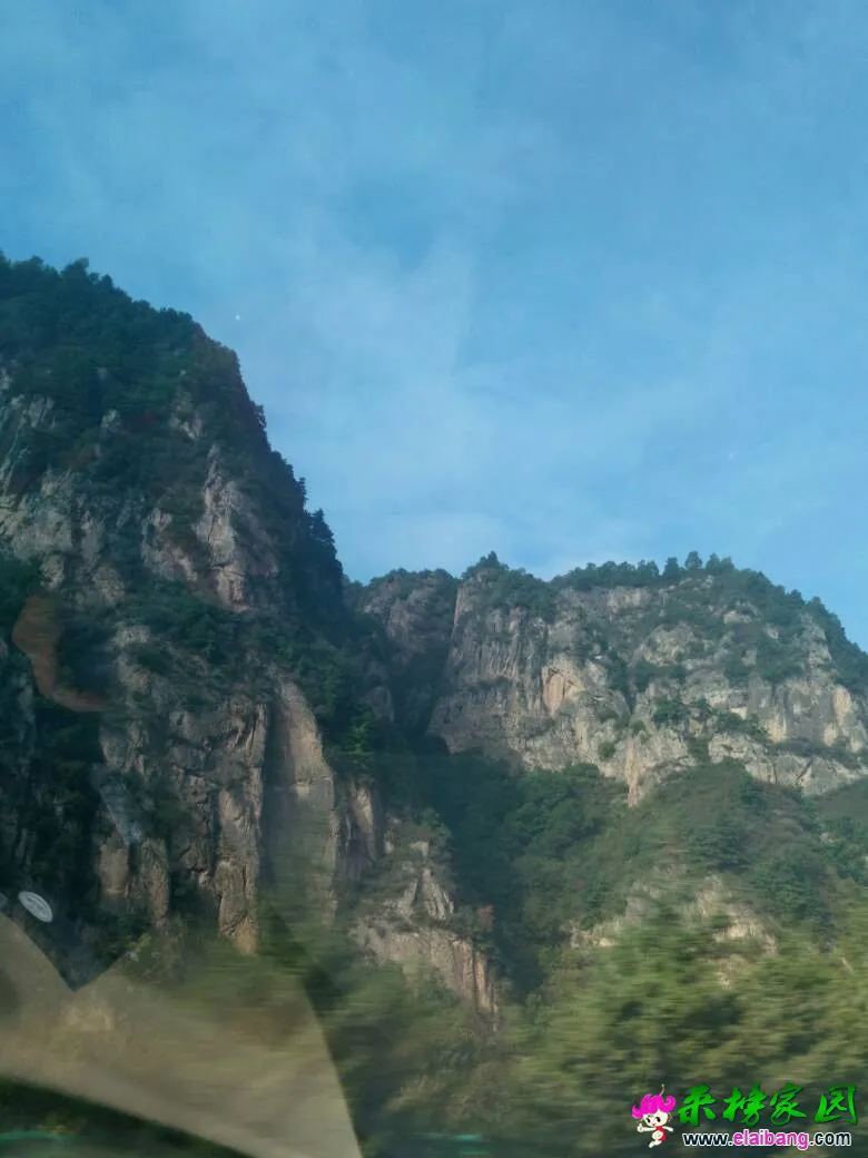 123402wzlcrglnpnvcngl8.webp