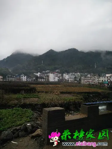 IMG20151120072045.webp