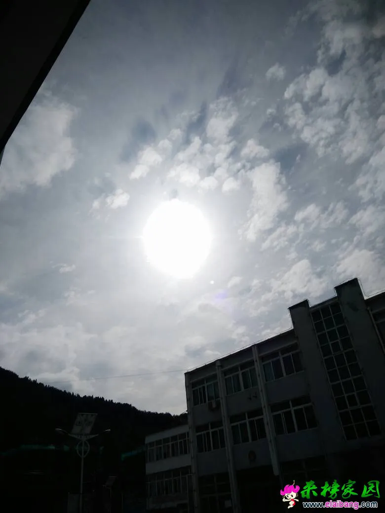 141900cr6k7ur6p6ldrr9h.webp