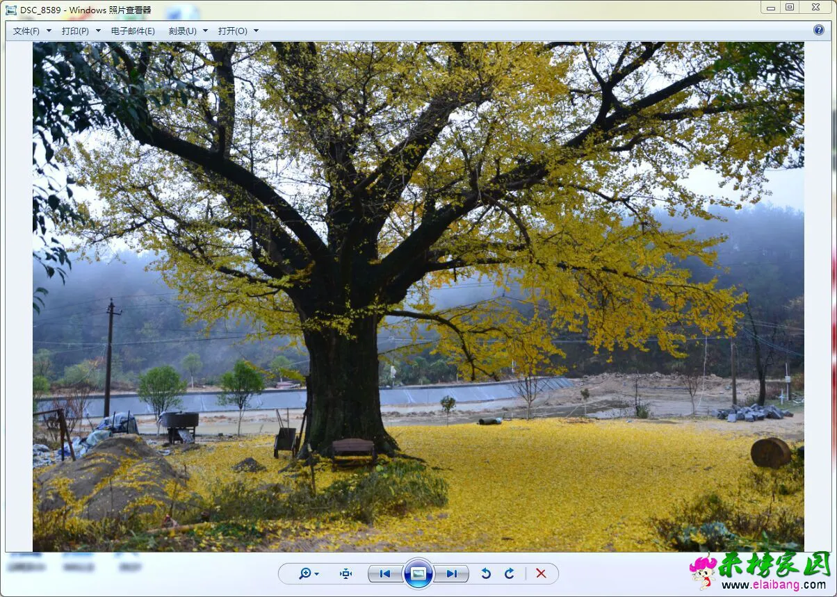 QQ图片20151120182534.webp