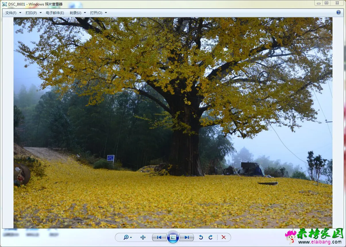 QQ图片20151120182522.webp