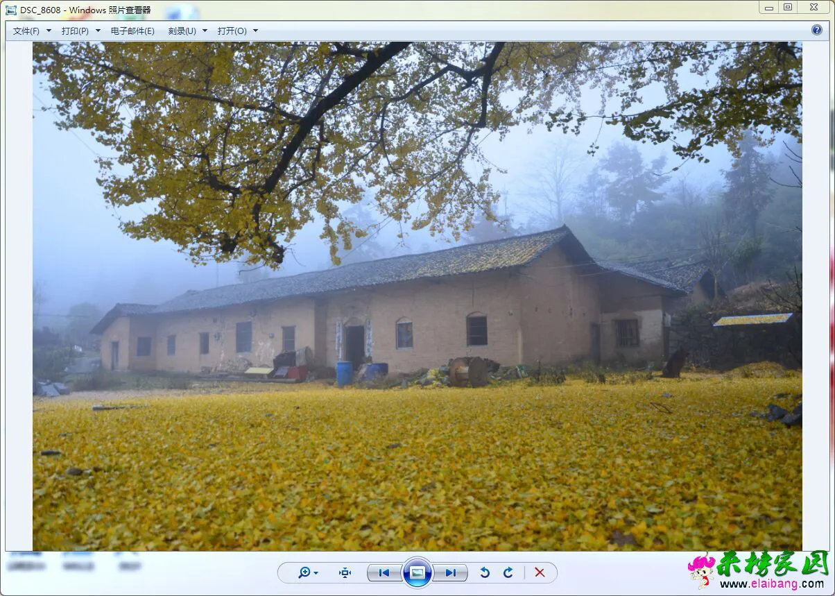 QQ图片20151120182513.webp
