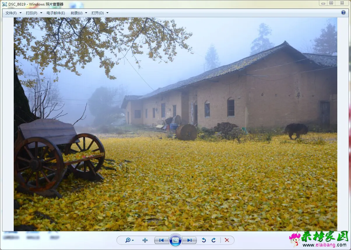 QQ图片20151120182507.webp