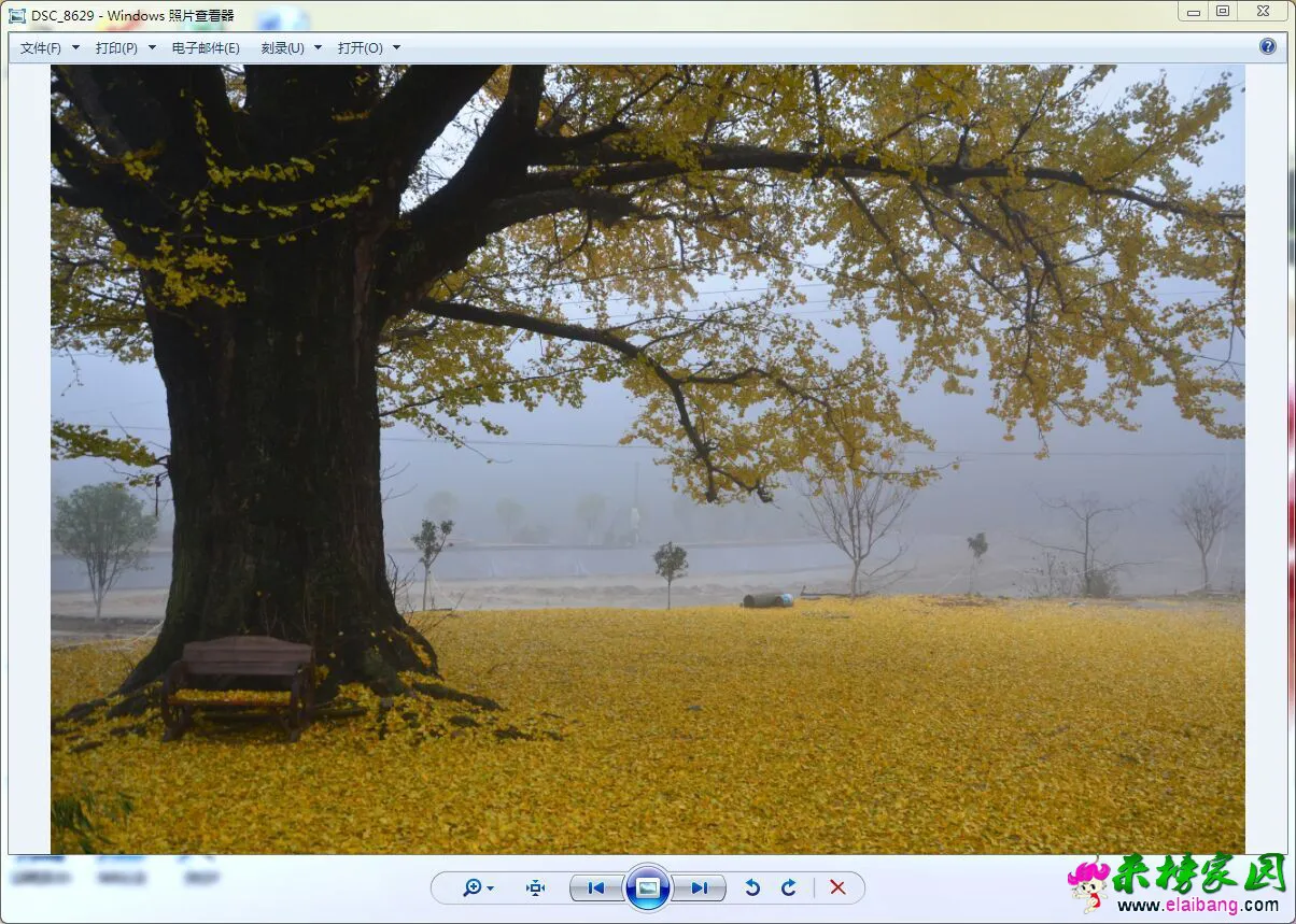 QQ图片20151120182454.webp