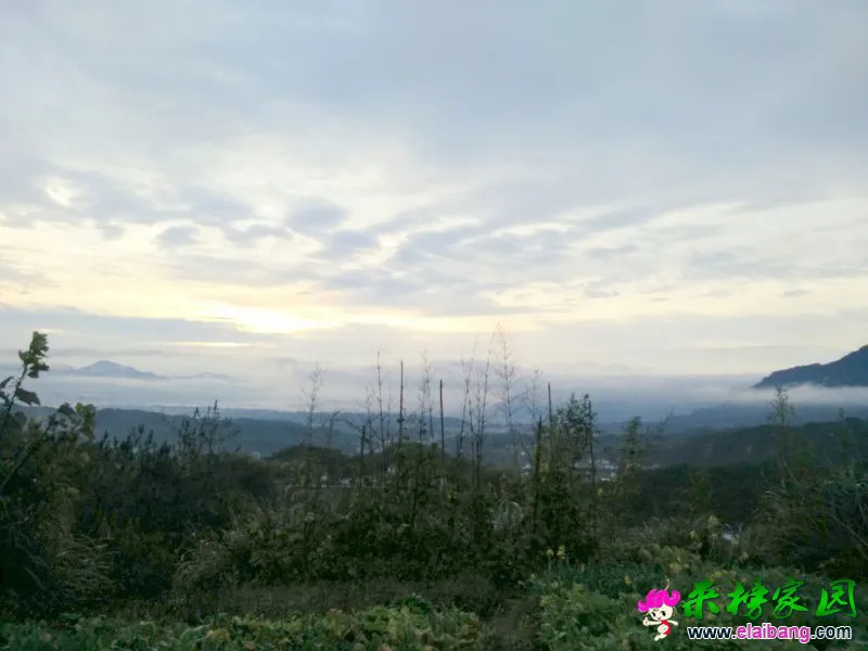 IMG_20151120_075220.webp