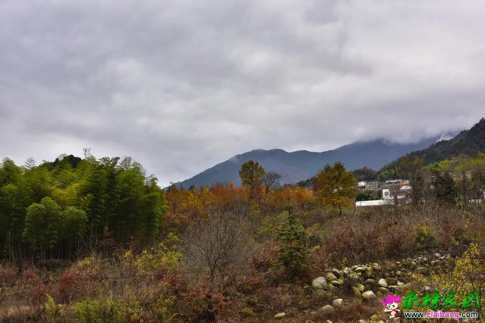 001.webp