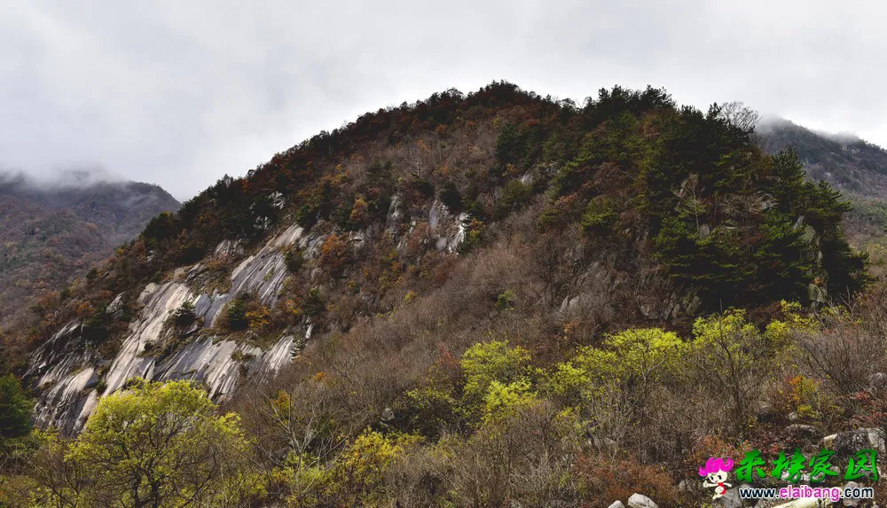 005.webp