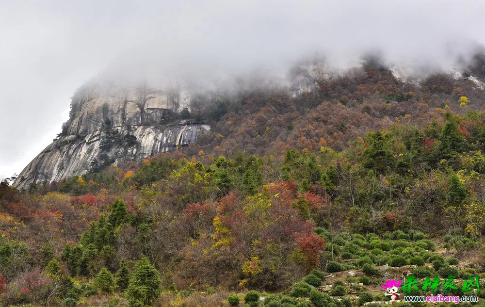 006.webp