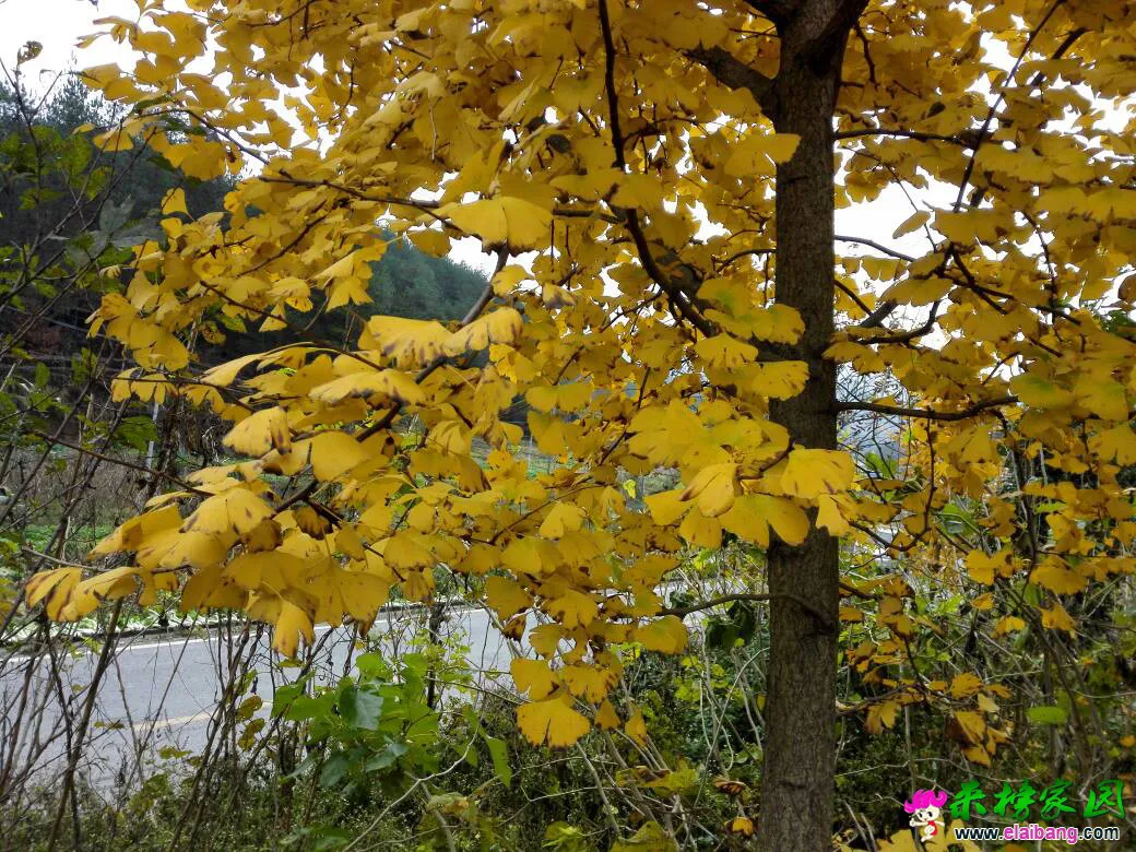142813dv5hz576whhodhfn.webp
