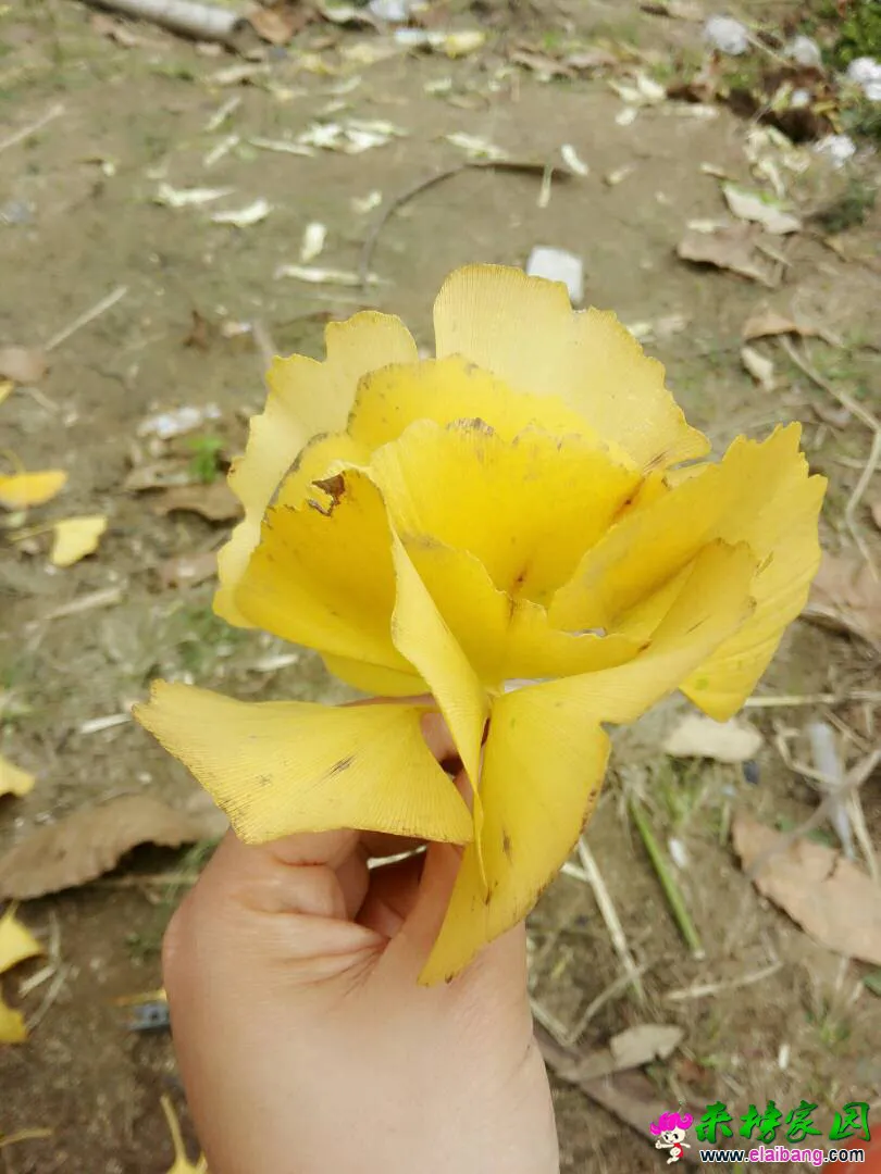 142813nou4ql0u4yolc00q.webp