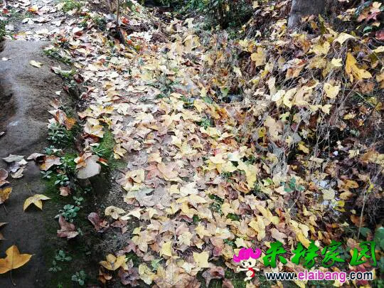 142907nmzl8hrz256mkw5k.webp