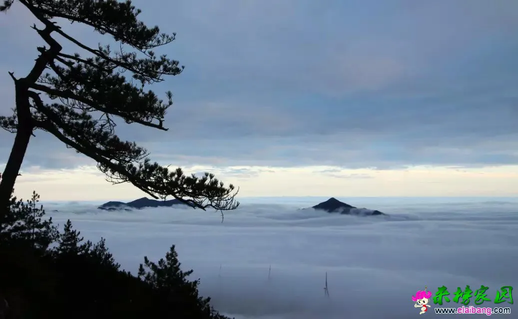 psb (54).webp