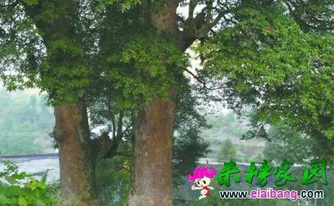 070933qnqayobneywoeexa.webp