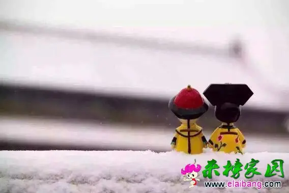 121551z0k7hkkbff7c244j.webp