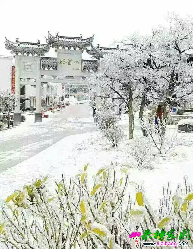 111551zbifnr3iqiaveni2.webp