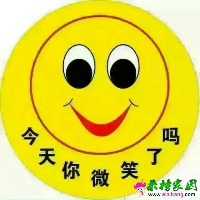 081204yyr53035moh3gt7t.webp